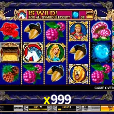 x999 Rio de Janeiro - Bonus Terms